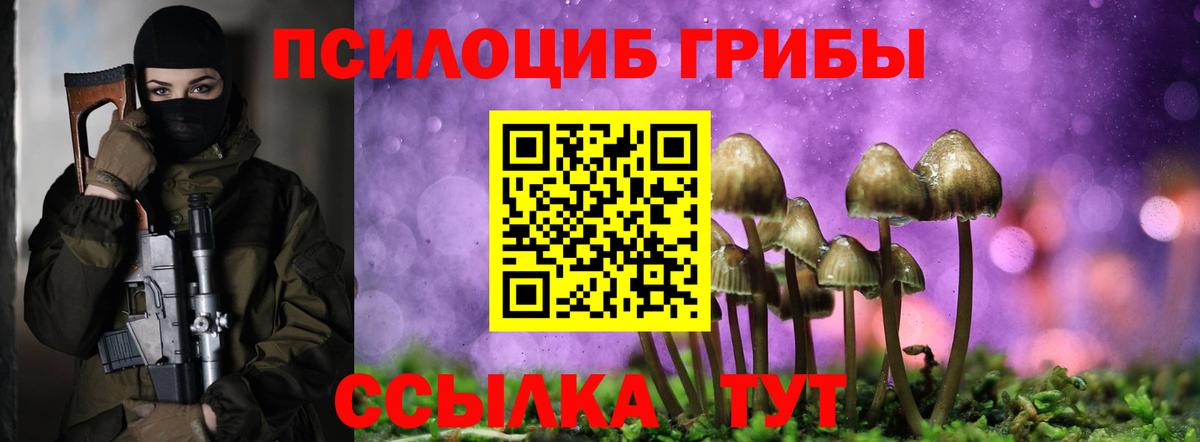 Галлюциногенные грибы Psilocybe  Вход с VPN  Чита  Галлюциногенные грибы мицелий 